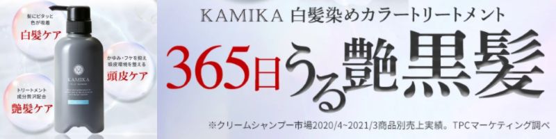 KAMIKA�������ߏ��T�C�g